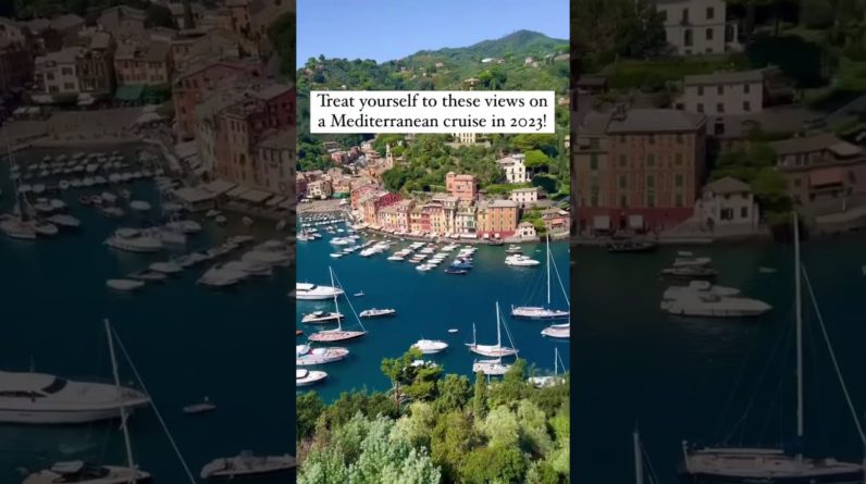 Can you believe we get to do this for a living?! 🇮🇹 #Shorts #Cruise #portofino