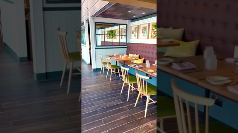 Best Royal Caribbean Ship: Wonder of the Seas vs Odyssey of the Seas! #shorts #hesaidshesaid 1 Best Royal Caribbean Ship: Wonder of the Seas vs Odyssey of the Seas! #shorts #hesaidshesaid