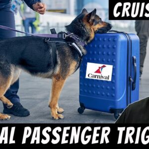 Carnival Cruise Passenger Upset About Pot Dogs - CRUISE NEWS REPORT