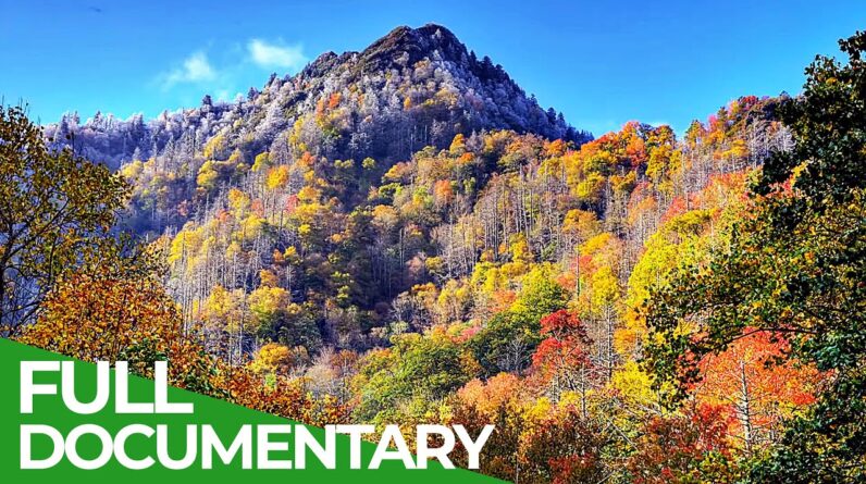Exploring the Fairytale World of the Great Smoky Mountains: A Nature Documentary 1 Great Smoky Mountains - A Fairytale World from Once Upon A Time | Free Documentary Nature